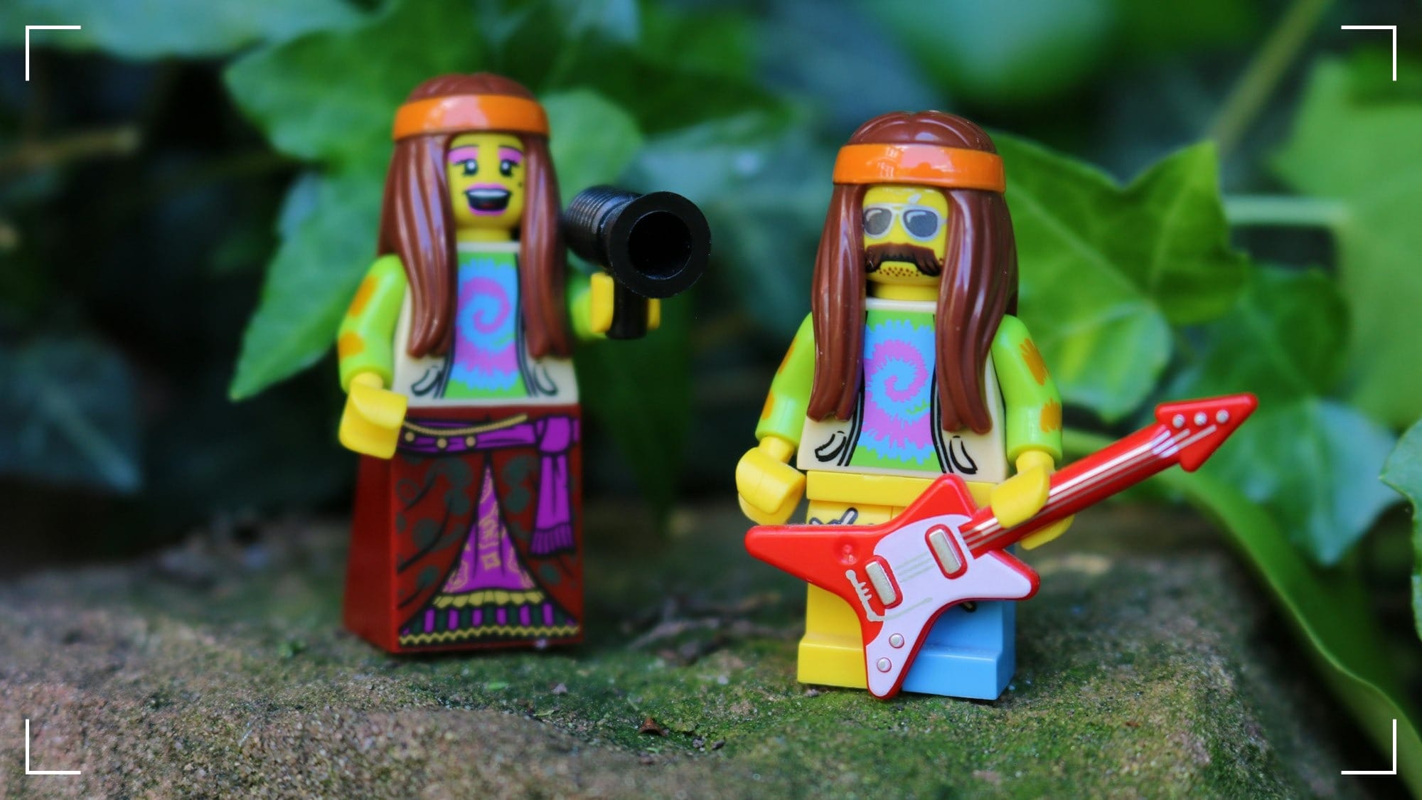 The Fractured Revolution